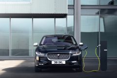 jaguaripace_b2