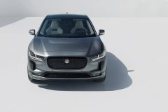 jaguaripace_b5