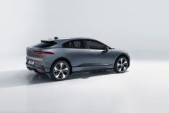 jaguaripace_b6