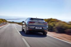 jaguaripace_b7