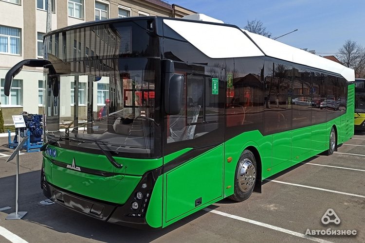 МАЗ-303E10