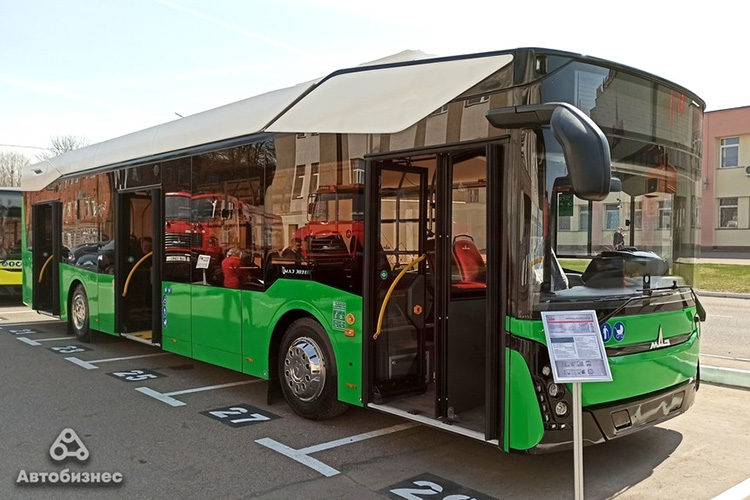 МАЗ 303E10