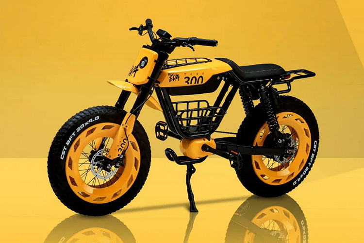 Tank 300 Frontier Edition E-Bike