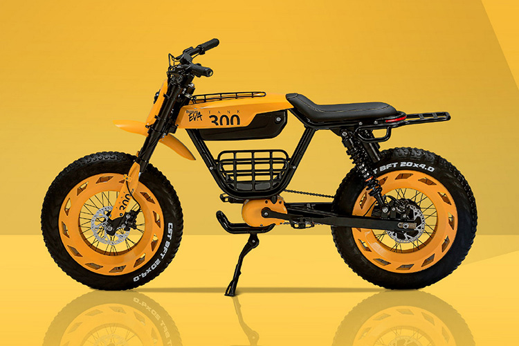 Tank 300 Frontier Edition E-Bike