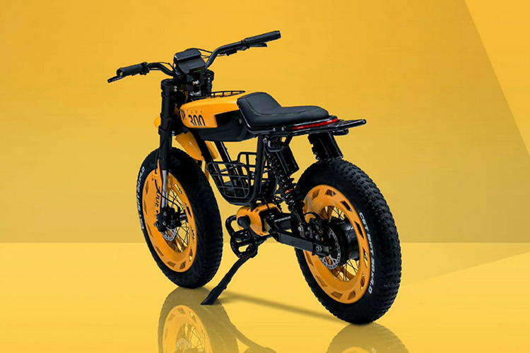 Tank 300 Frontier Edition E-Bike