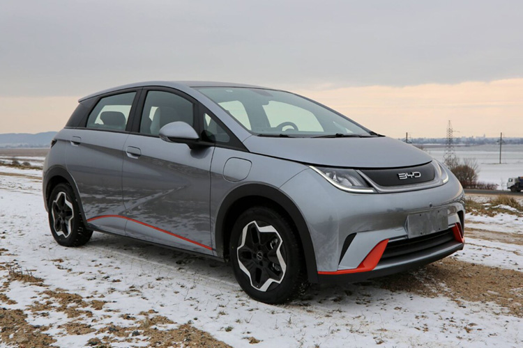 BYD Dolphin в Беларуси