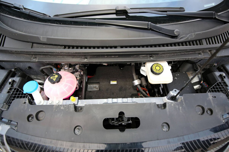 BYD Dolphin в Беларуси