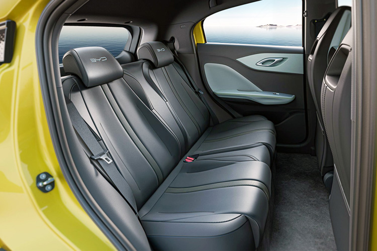 BYD Seagull