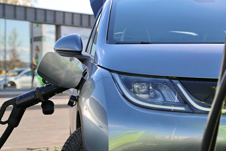BYD Dolphin в Беларуси
