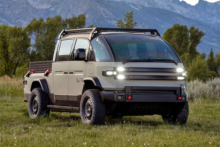 Canoo American Bulldog