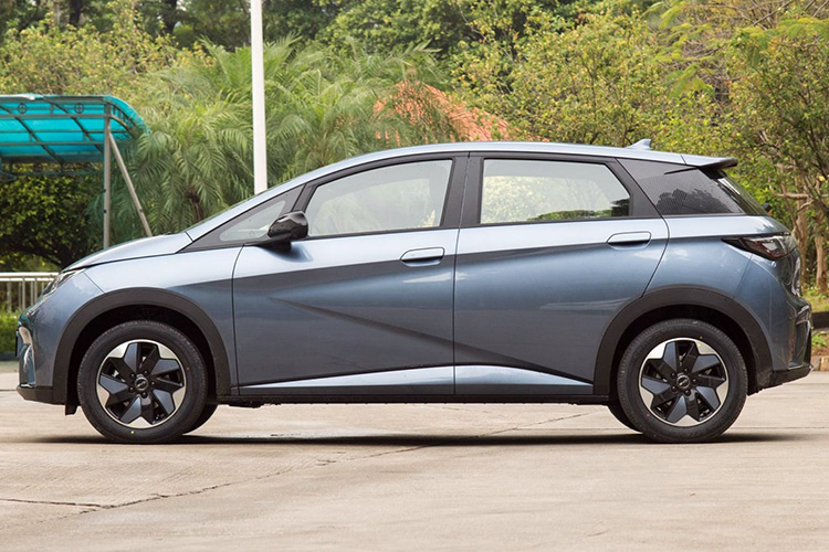 BYD Dolphin Honor Edition 2024