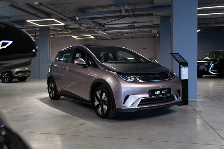 BYD Dolphin GSMotors