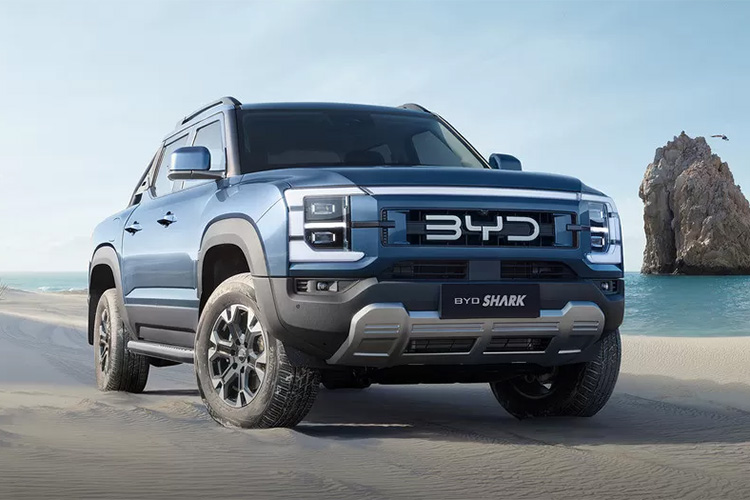 BYD Shark
