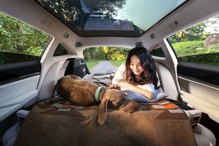 Neta S Shooting Brake