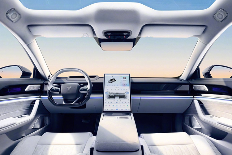 Neta S Shooting Brake