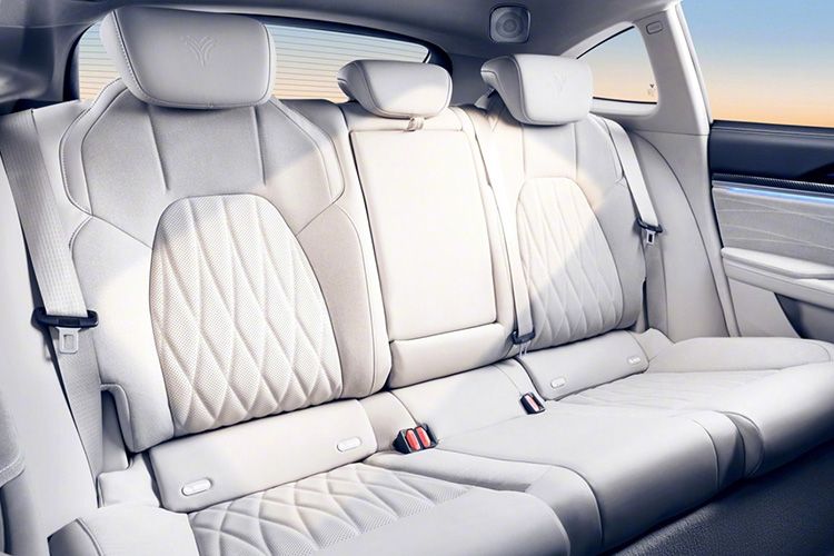 Neta S Shooting Brake