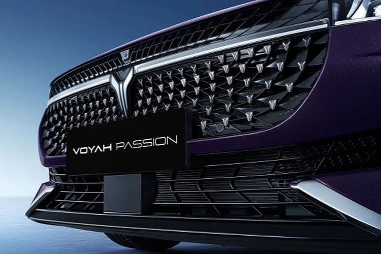 Voyah Passion