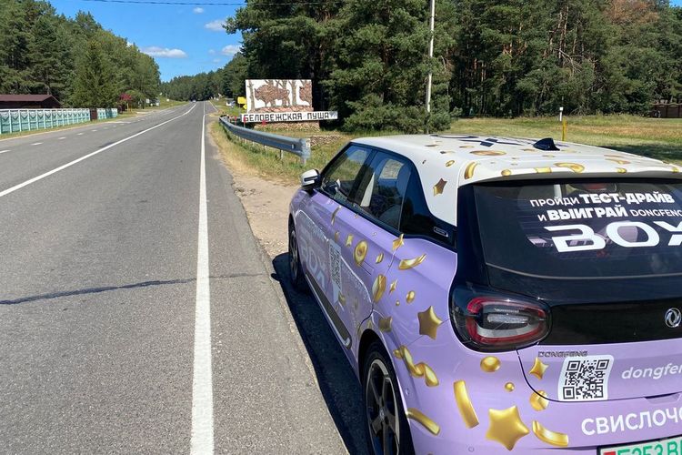 Брест электромобиль