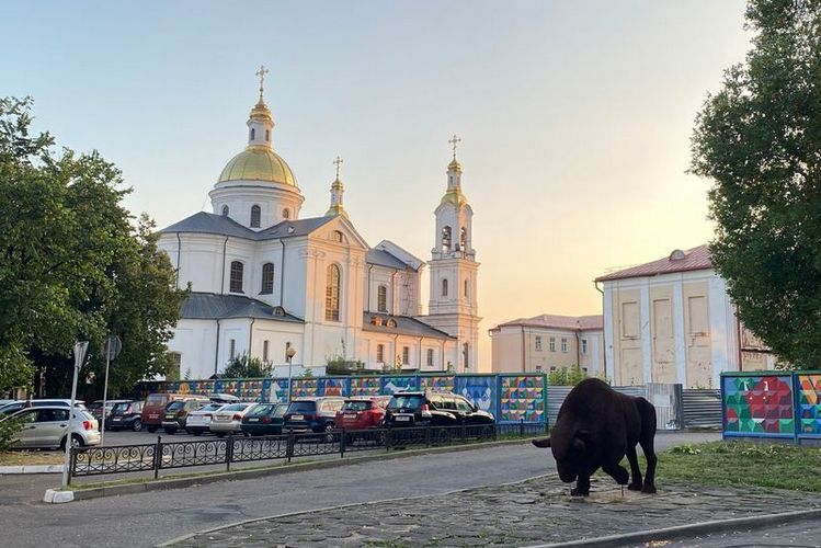 Витебск электромобиль