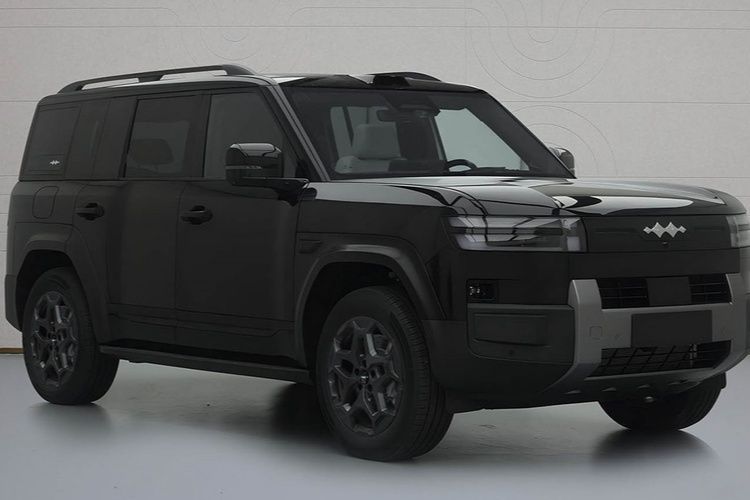 Гибридный Fang Cheng Bao Tai 7