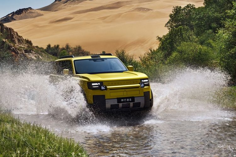 Freelander 8